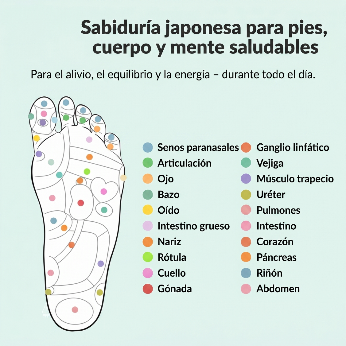 MagneStep • Sistema de Magnetoterapia y Alivio Podal