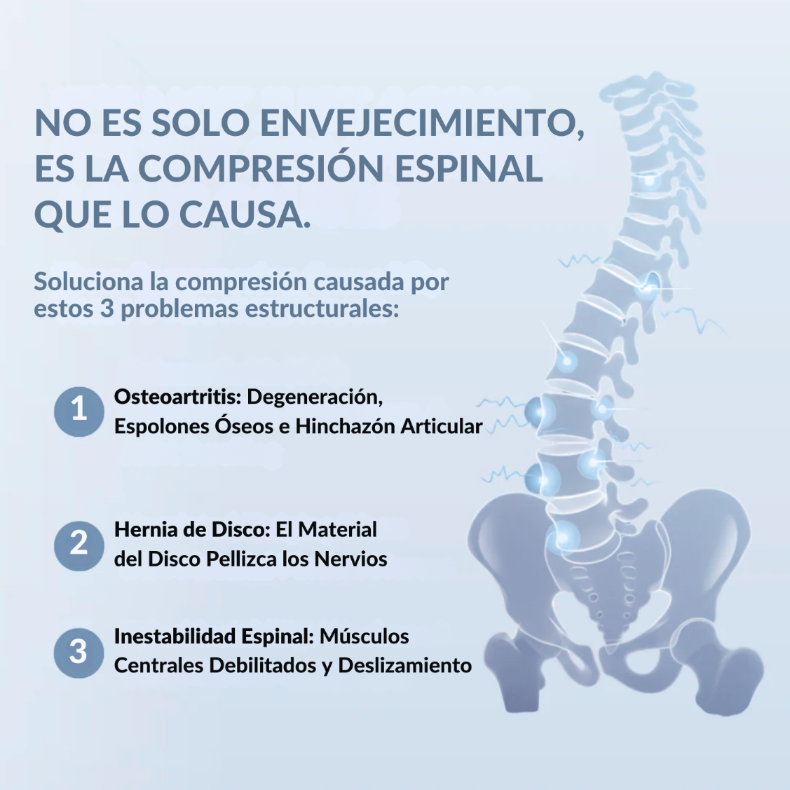Equipo de Rehabilitación Neuromuscular