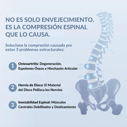 Equipo de Rehabilitación Neuromuscular
